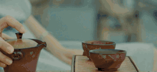 1697703333990846.gif